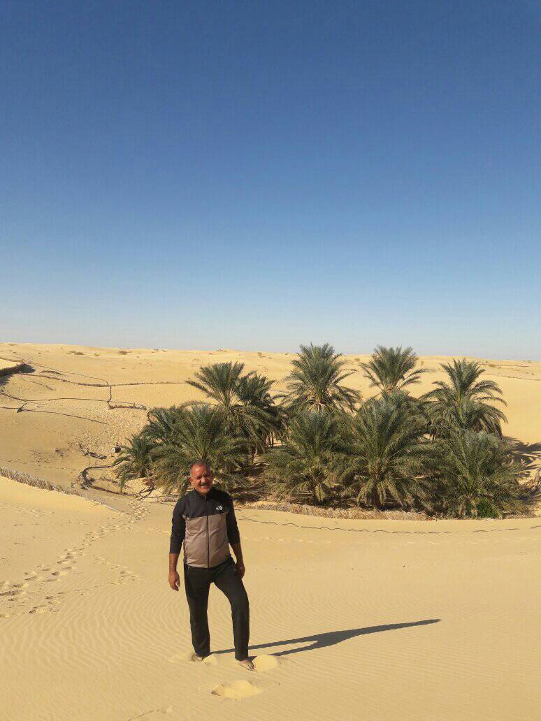 غابات النخيل