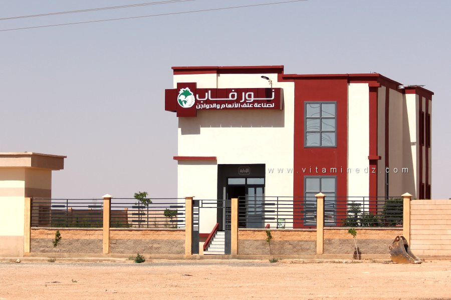 NoorFab : L’innovation au service de l’élevage à Mecheria