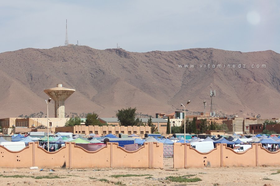 Le marché hebdomadaire de Mecheria : Vie et échanges sous l’ombre du Djbel Antar