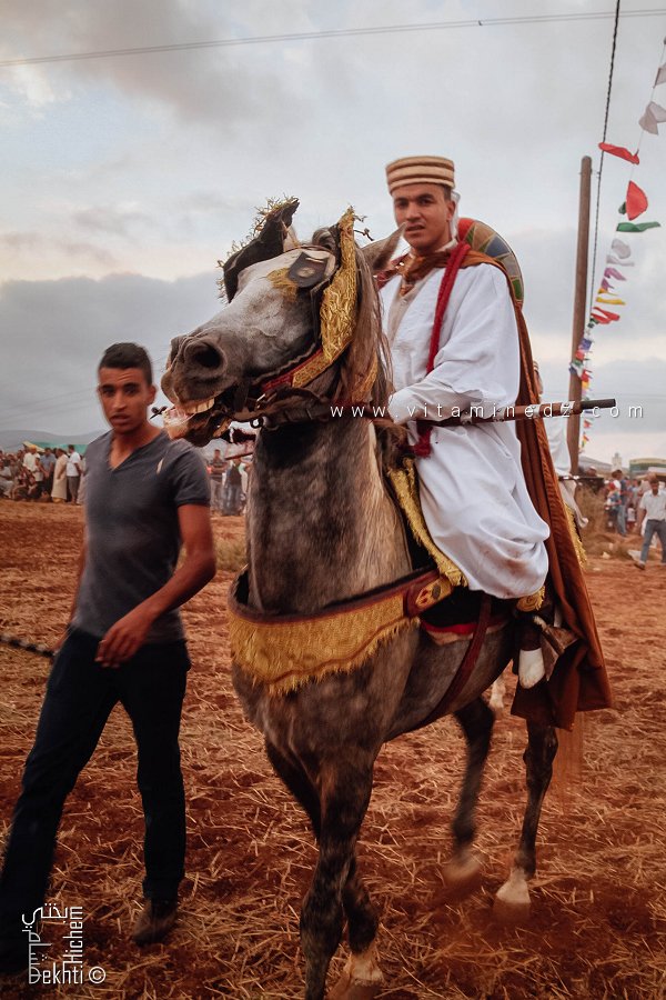 فارس أنيق في وعدة المدادحة