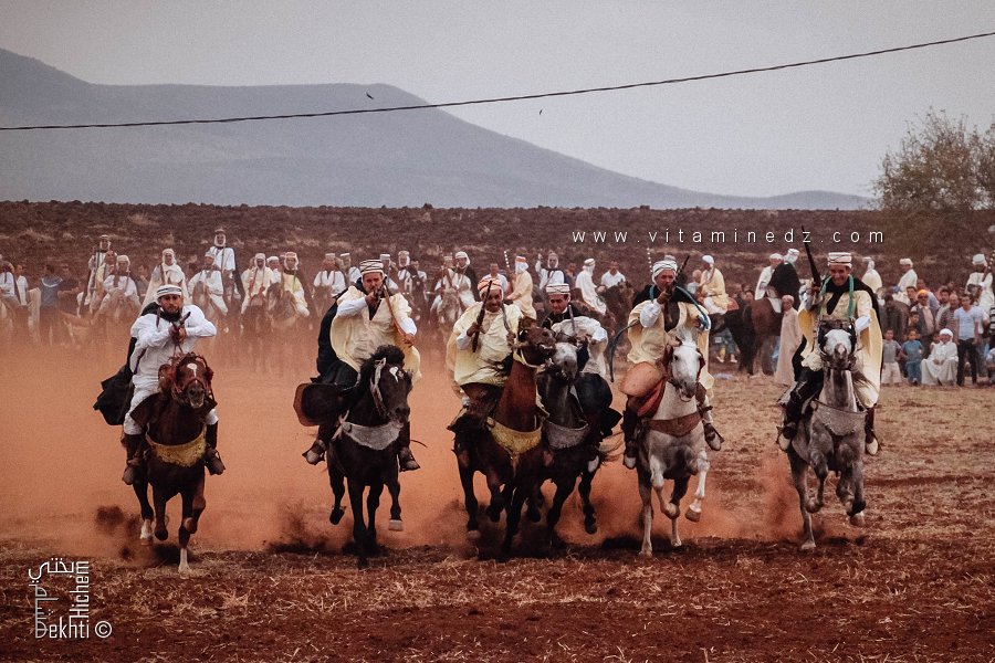 Fantasia : Cavaliers de tous âges en pleine course à la Waada d’El Mdadha