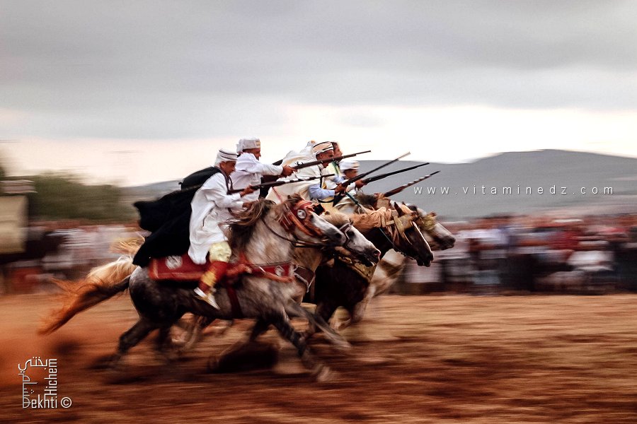 الفانتازيا: جمال الفرسان وجيادهم في سباق حماسي