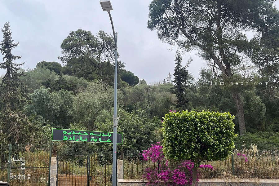 غابة بارادو في حيدرة