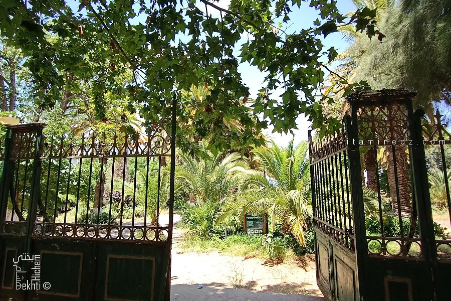 Jardin du Grand Bassin (Sahridj M’Beda) : Un trésor historique à l'abandon