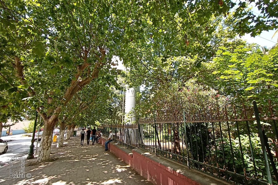 حديقة السهريج المبدا: كنز تاريخي في طي الإهمال