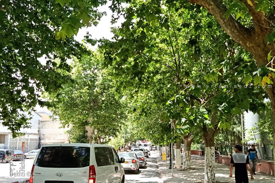 Début du Boulevard Mohamed V jouxtant le jardin publique à droite