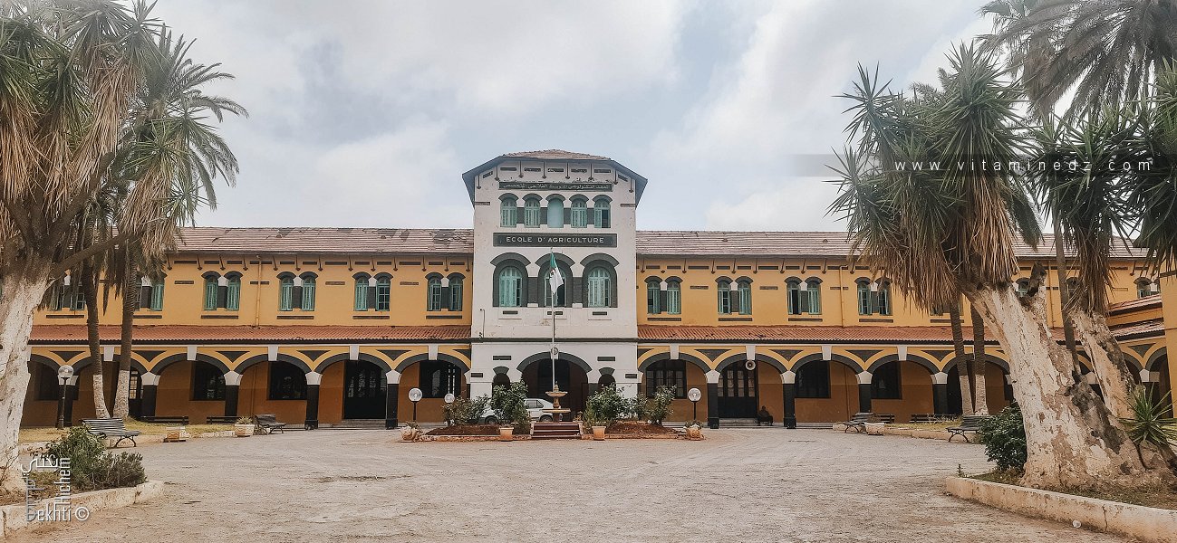 L’École d’Agriculture d’Aïn Témouchent : Un lieu de savoir et de transmission