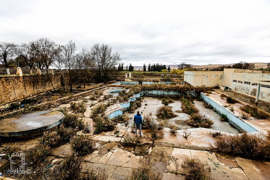 Piscine abandonnée envahie par les mauvaises herbes, Hammam Sidi Abdelli (Commune de Sidi Abdelli, Wilaya de Tlemcen)