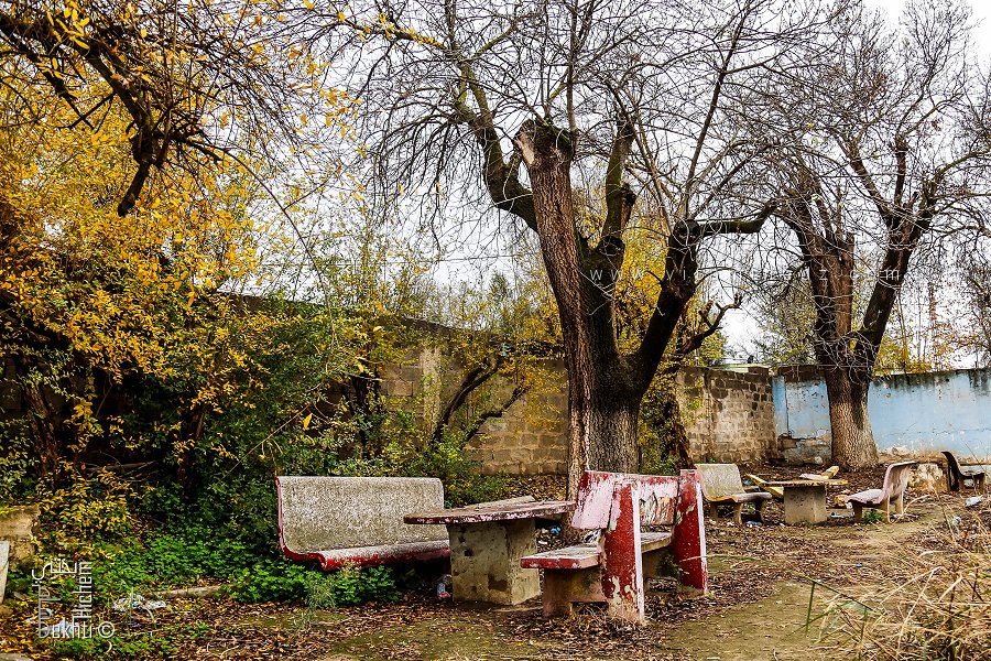 Table dans un jardin en friche de Hammam Sidi Abdelli (Commune de Sidi Abdelli, Wilaya de Tlemcen)