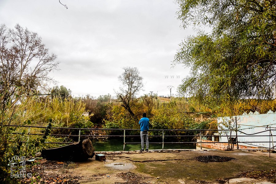Jardin en friche de Hammam Sidi Abdelli (Commune de Sidi Abdelli, Wilaya de Tlemcen), ambiance apocalyptique