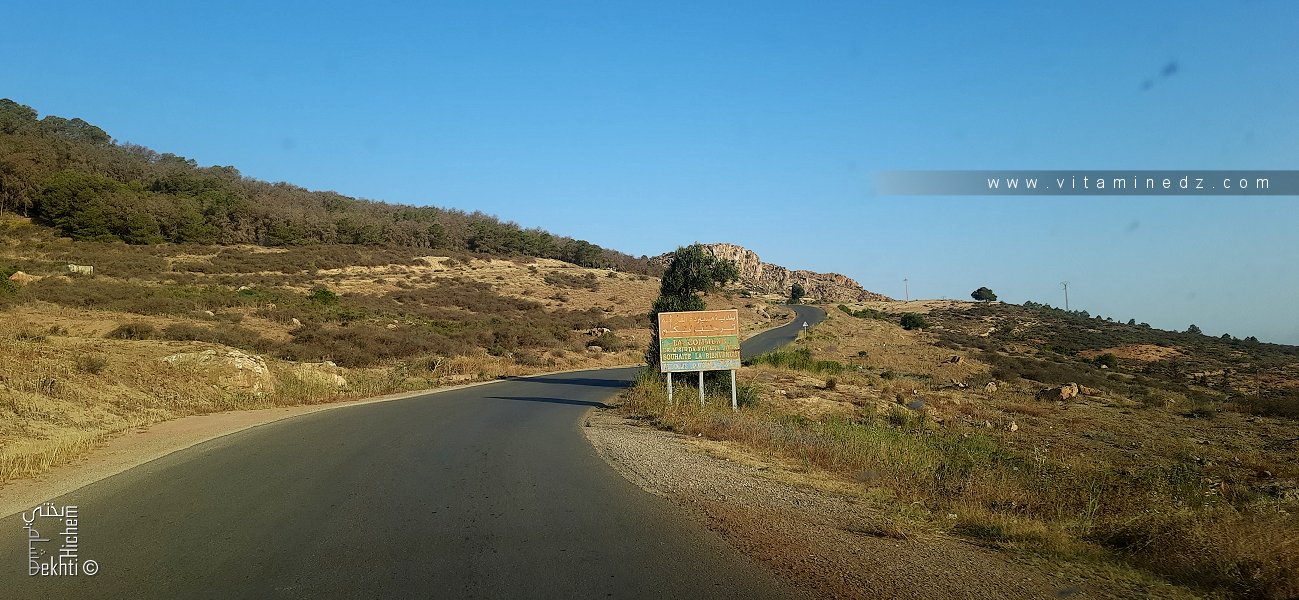 Bienvenue à La commune de Msirda Fouaga (Wilaya de Tlemcen)