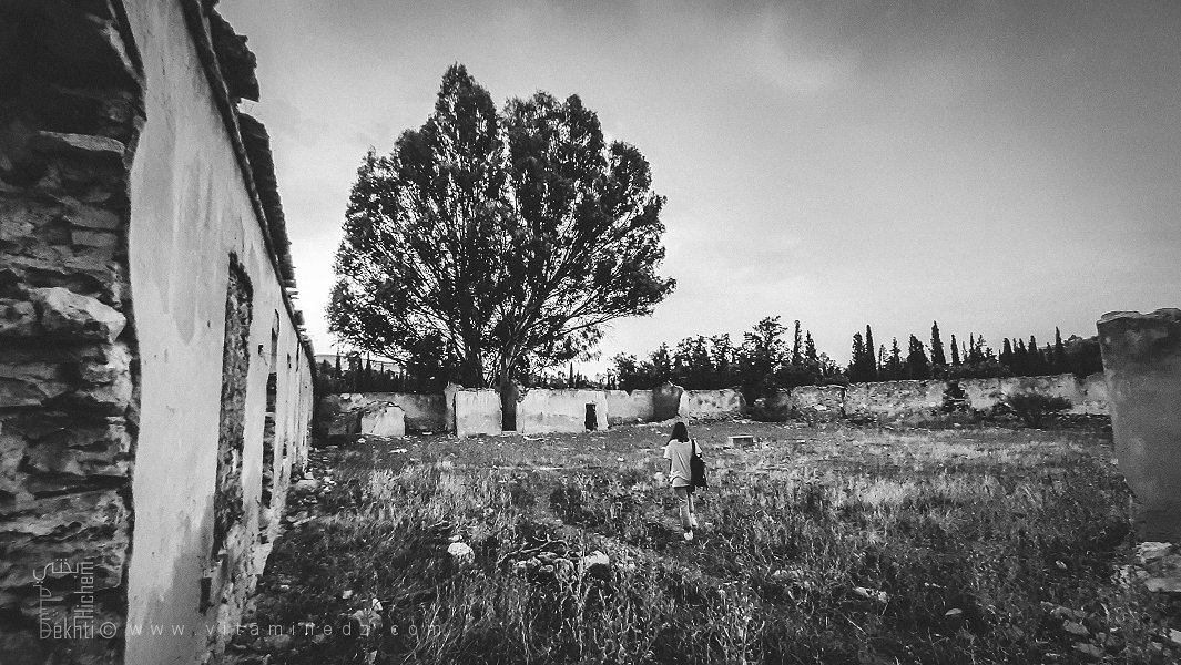 مزرعة استعمارية مهدّمة في عين زوج عبيد أو باوزين – (بلدية سيدي العبدلي، ولاية تلمسان)