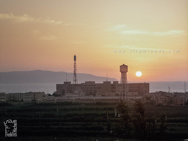 Vue sur Tametfoust et la baie d’Alger depuis le Cap Matifou (2005)