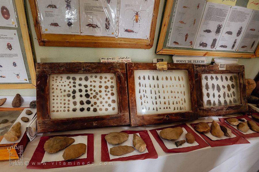 ثراء متحف أوقرطة الصغير