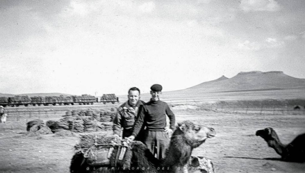 Métamorphose de Crampel (Redjem Demouche)