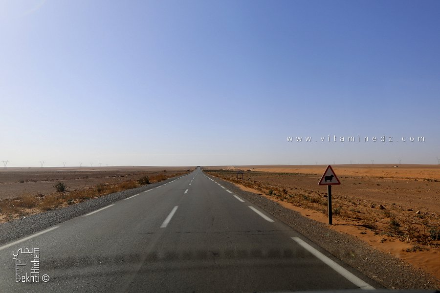 Route Redjem Demouche – El Biod : 115 km de Bitume au Cœur d’une Steppe Pastorale Aride