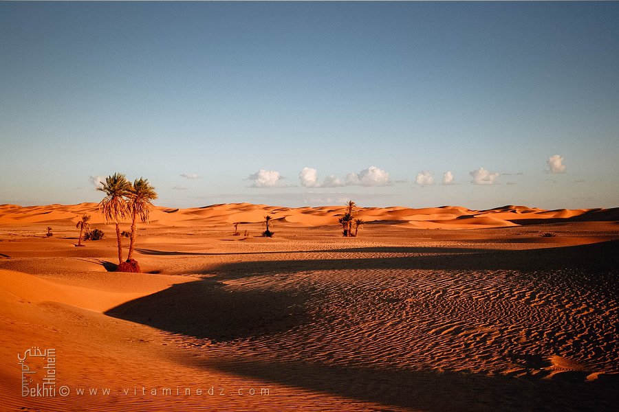 Paysages du Grand Erg occidental