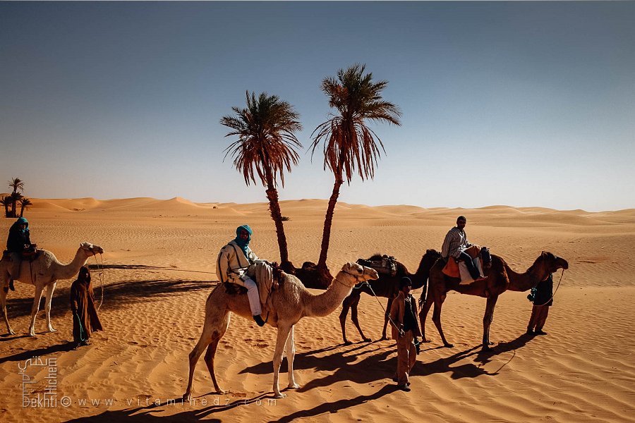 قافلة سياحية يقودها محمود وأبناؤه عبر الصحراء