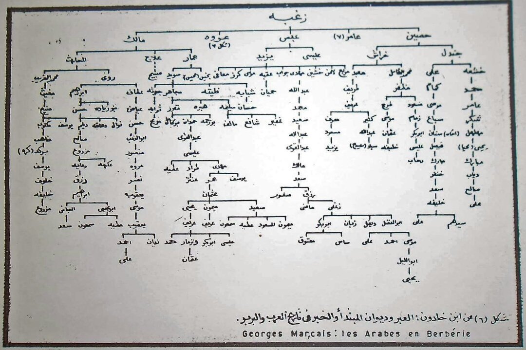 Arbre généalogique simplifié des Banu Zoghba