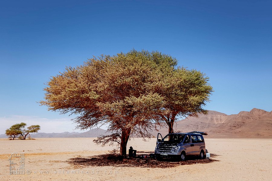 توقف تحت أشجار الطلح النادرة في قلب الصحراء