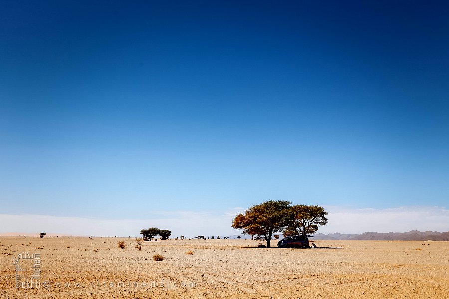 Un désert sans fin ponctué d’acacias solitaires