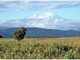 Planète (Afrique) - Au Kilimandjaro, la pression humaine responsable d’un siècle de déclin écologique