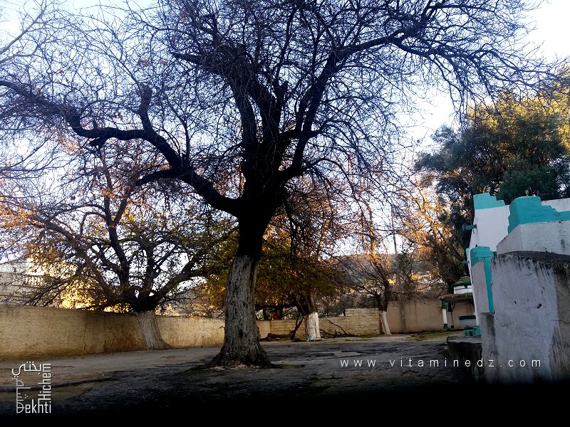 Recherche d'informations sur le saint Sidi Ali Ben M'guim (ou Ben Mekim / بن مڨيم) à Tlemcen