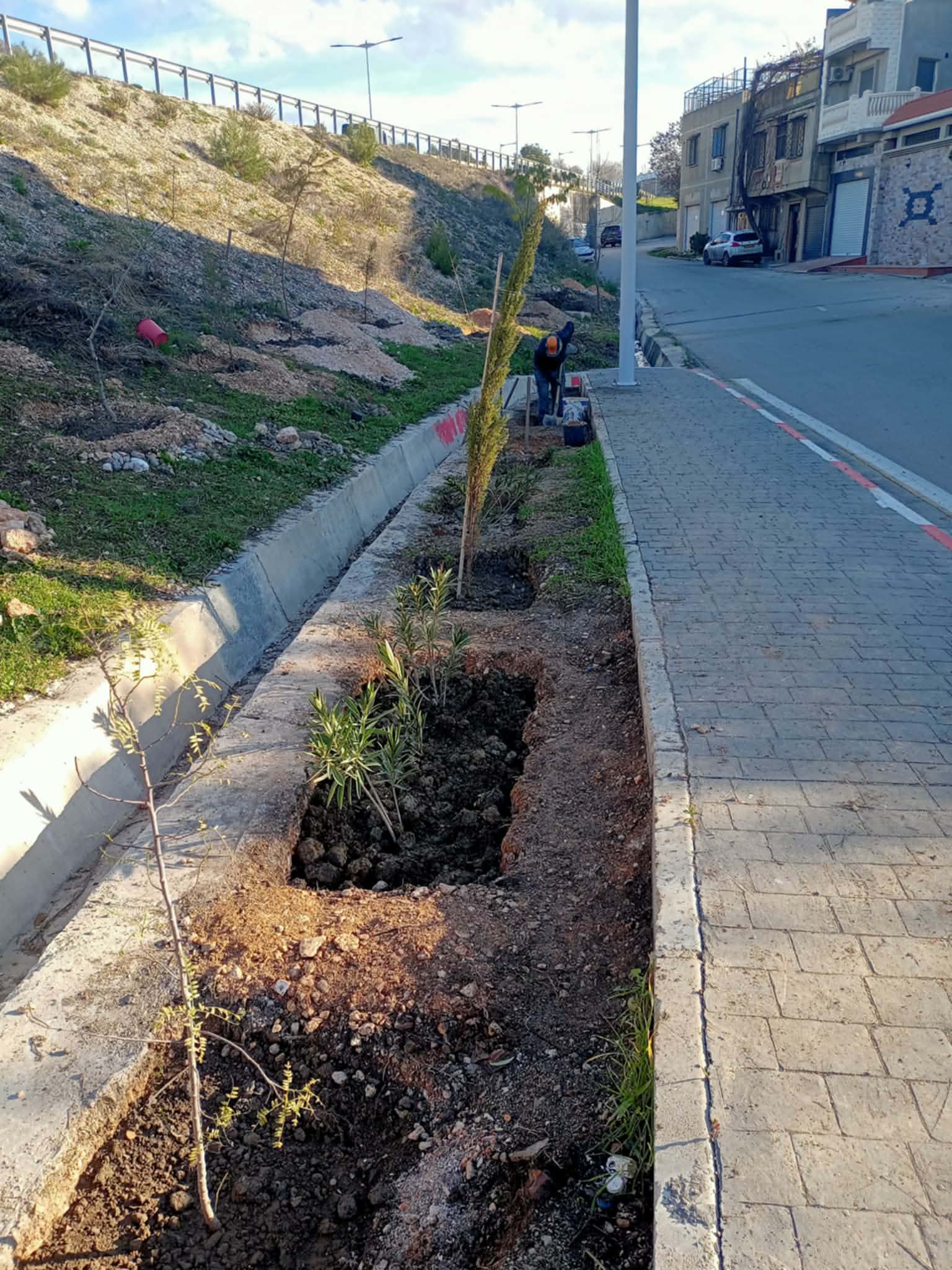 Algérie (Constantine) - La cité des Castors s'embellit par Djenane 
