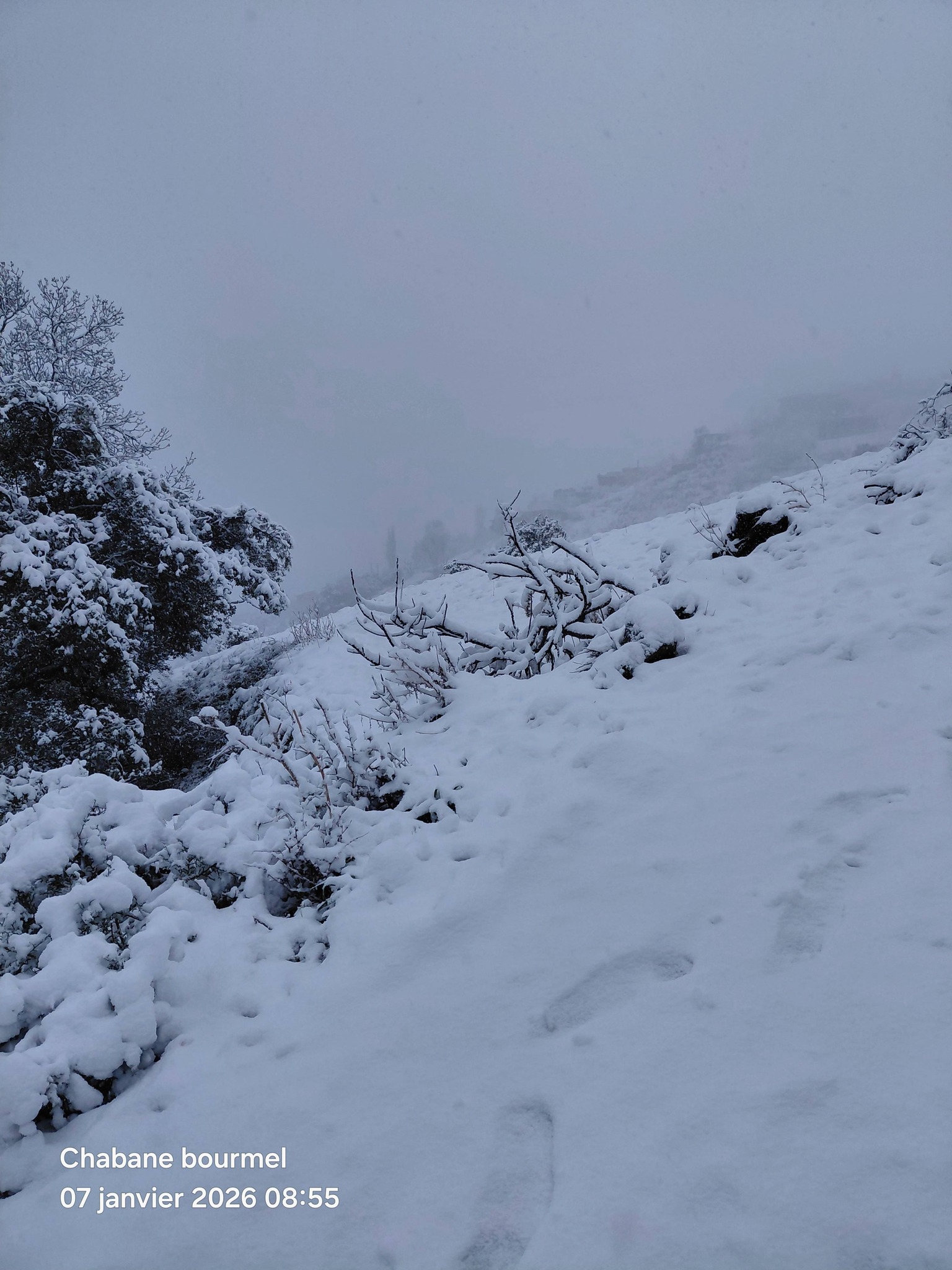 Randonnée massif Djurdjura