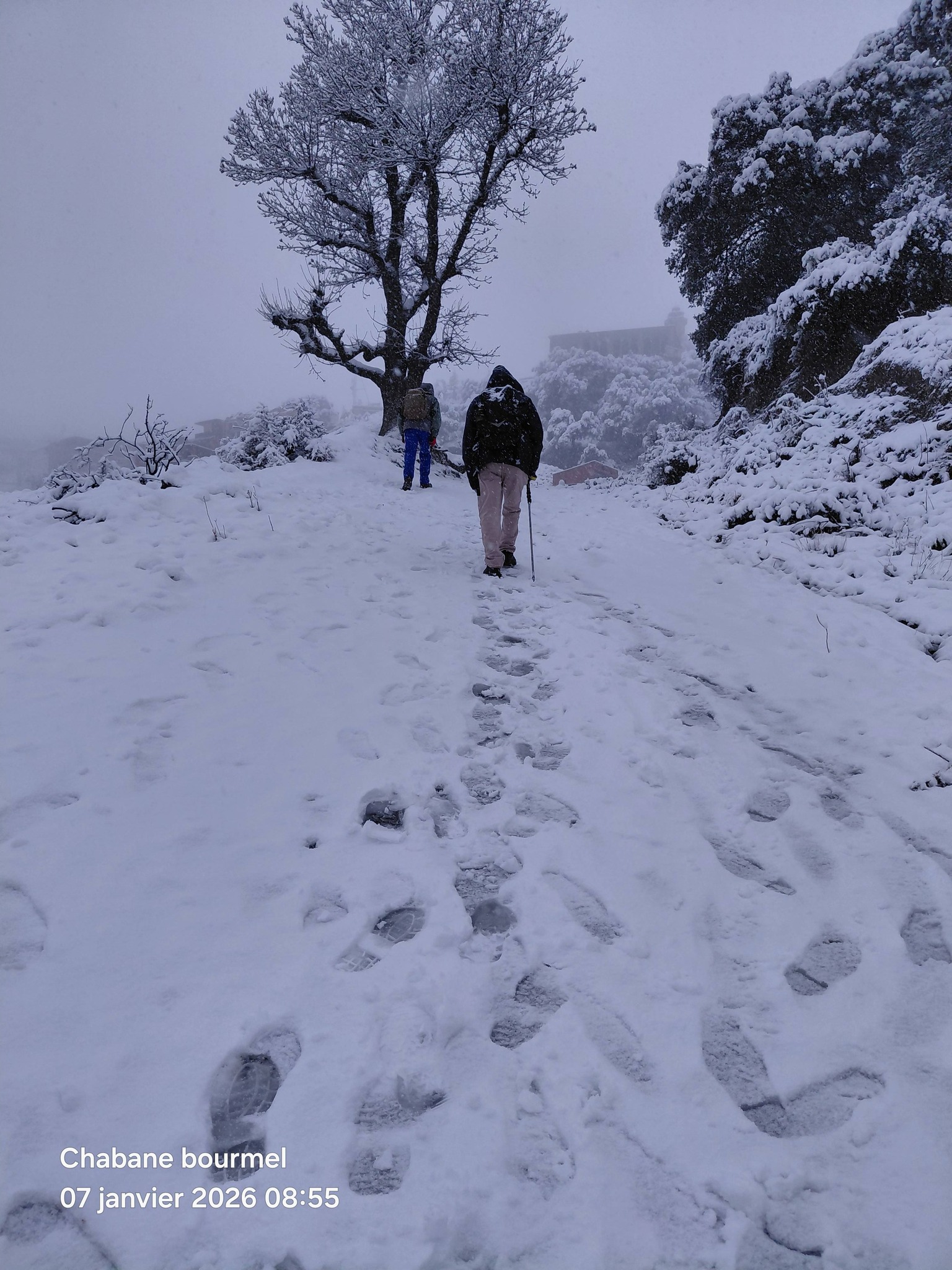 Randonnée massif Djurdjura