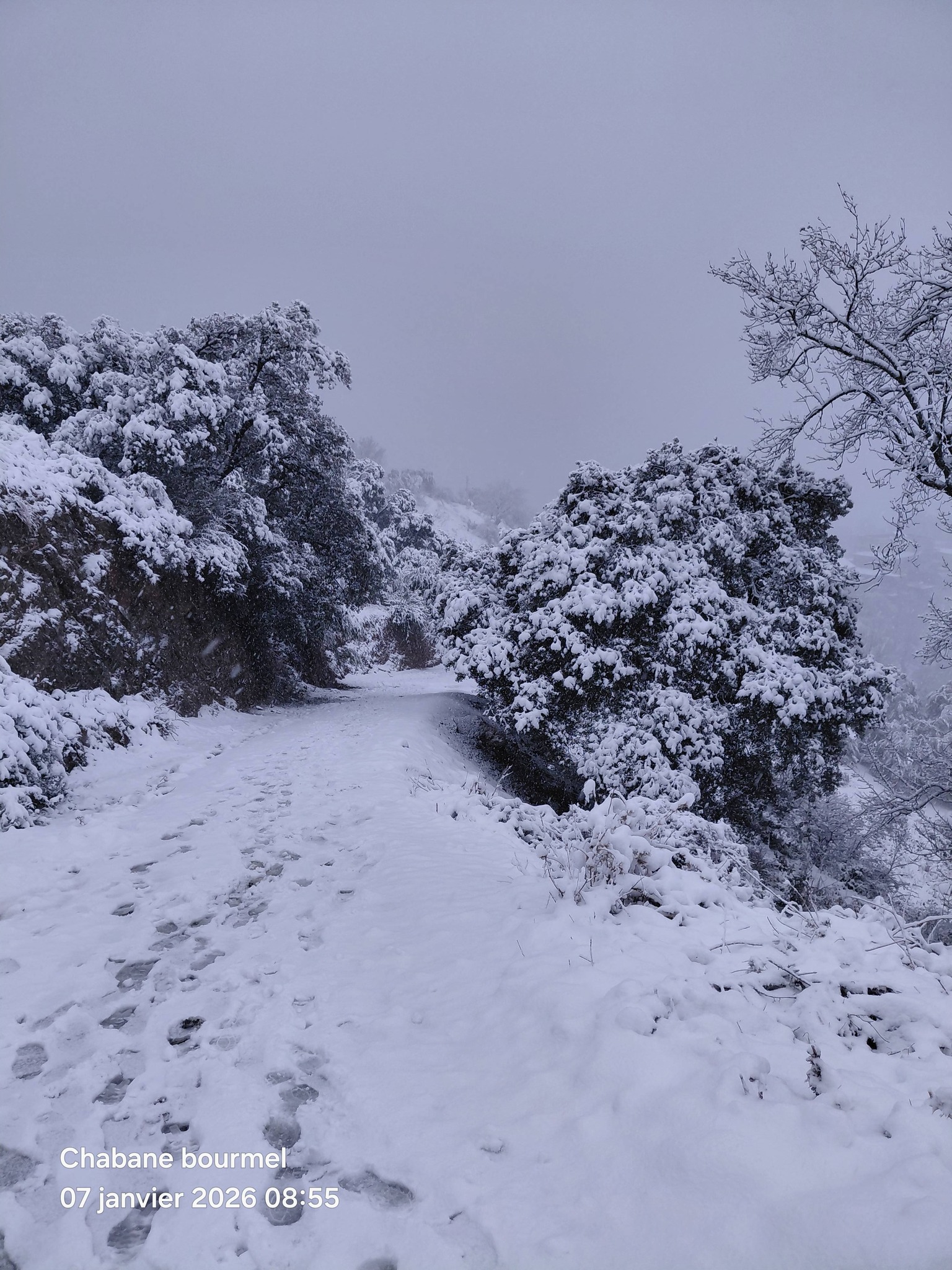 Randonnée massif Djurdjura