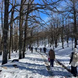 Du haut des forêts de AKFADOU à Bejaia