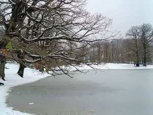Du haut des forêts de AKFADOU à Bejaia