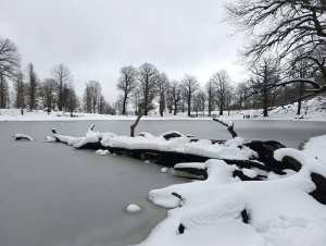 Du haut des forêts de AKFADOU à Bejaia