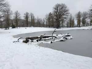 Du haut des forêts de AKFADOU à Bejaia