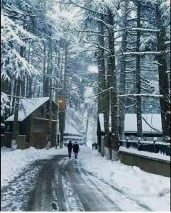 Parc National de Chréa