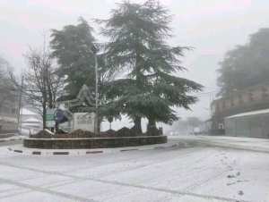 Parc National de Chréa