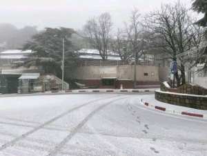 Parc National de Chréa