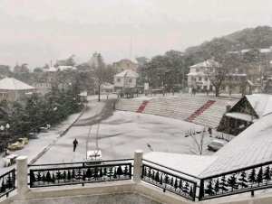 Parc National de Chréa