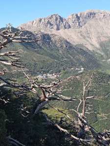 LA MONTAGNE DU DJURDJURA