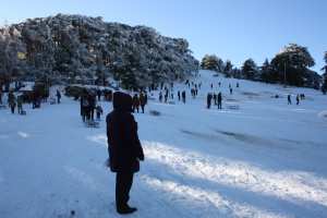 LA STATION DE SKI CHREA _BLIDA
