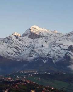 Tableau vivant où la rudesse de la roche rencontre la douceur de l'olivier.