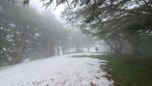 Randonnée groupe tarwa n wedrar les amis du Dr Mohand Messaoudene