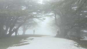 Randonnée groupe tarwa n wedrar les amis du Dr Mohand Messaoudene