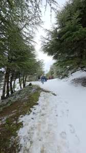 Randonnée groupe tarwa n wedrar les amis du Dr Mohand Messaoudene