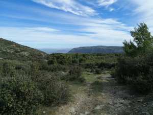 Planète - Une crise environnementale et humaine:  Une ère de dégradation et l'homme voit ailleurs !