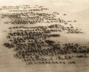 صورة نادرة التقطها مصور فرنسي من الجو.