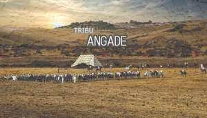 TRIBU ANGADE