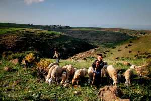 Deux enfants bergers à Oulhaça El Ghraba