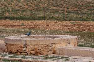 Un puits ancestral au cœur du Village de Tinkial (Commune Sidi Djilali, Tlemcen)